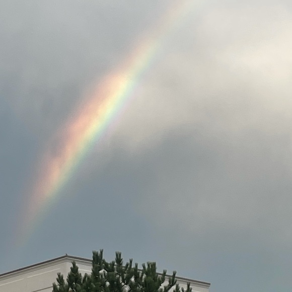 Meet your Posher, Rachael - Picture 13 of 16